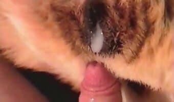 Female Animal Porn - Feme And Dog