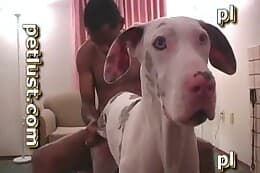 Video dogsex Animal Sex