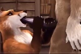 Animal porn 3d