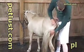 animal sex porn, horse porn videos