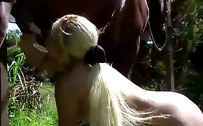 sex with animals videos, horse porn videos