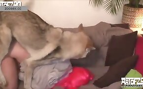 sex with dog porn, sex with animals videos