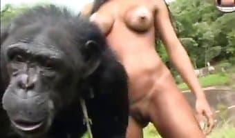 Janwar Insan Ka X - monkey sex with sexy gurls