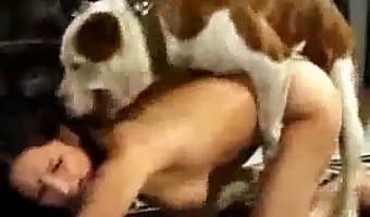 dog-fucks-girl amateur-dog-sex