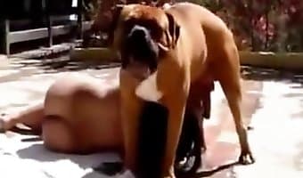 amateur-dog-sex fuck