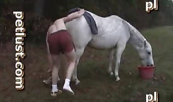 horse dick