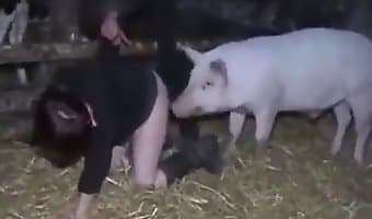 Animals Fucking Girls Captions - Pig loves doggy fucking women