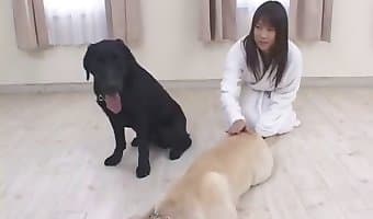 zoosex japanese-dog-sex
