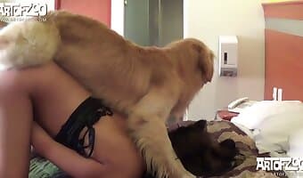 girl amateur-dog-sex
