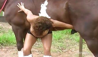 Www Animalhorsporn - Horse sex
