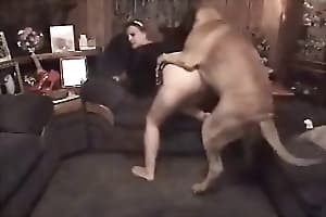 big dog fucks bitch in her tight anal hole