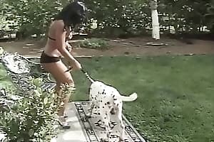 sex with dog