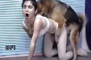 Seks animal zoo Fun Dog