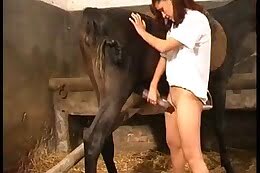 Horse Sex
