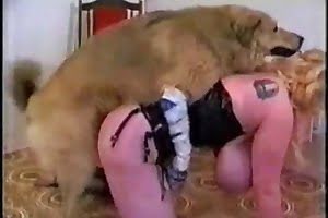 Zoo Porn Fresh Animal Taboo Sex Tube Taboo Wankers Like Zoo Unrated Videos