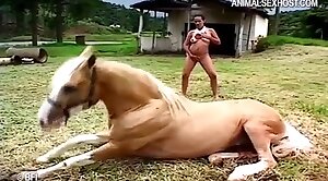 馬の性別,セックス映画