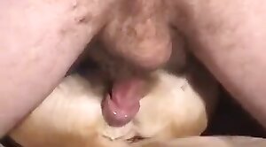 perro-xxx,pelicula de sexo