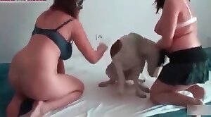 犬-xxx,動物ポルノ