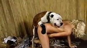 dog-porn,animal-fuck