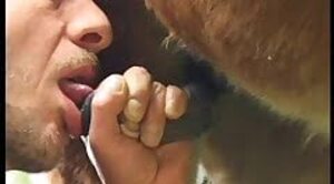 dog-porn,zoo-sex