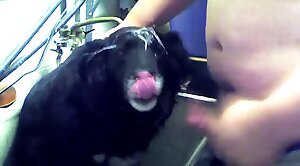 oral-bestiality,animal-porn-videos
