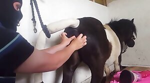 horse-sex,zoo-sex