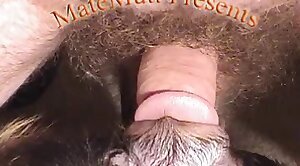 bestiality-movies,animal-porn-videos