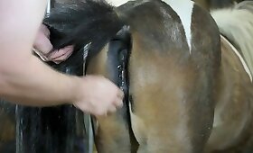bestiality sex, close up zoophilia videos