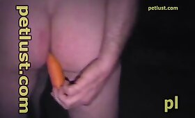 animal fuck porn, mare with man