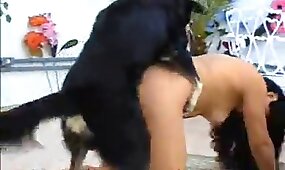 group zoo porn, woman and animal sex
