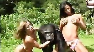 Zoo-Sexvideos,verrückte Damen