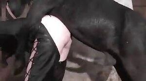 sexe de cheval,bestialité de la ferme