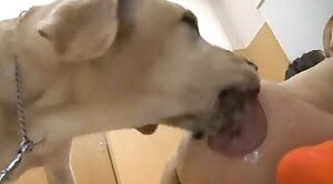 doggy sex,pussy fuck