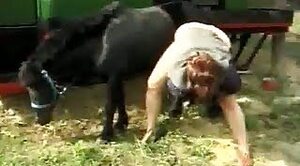 farm bestiality,porn with animals