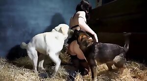 porno de chien,zoo vidéos de sexe