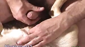 犬のポルノ,動物園のセックスビデオ