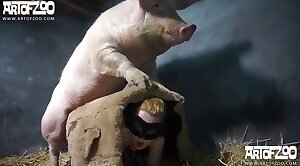 pig porn,zoophilia fucking porn
